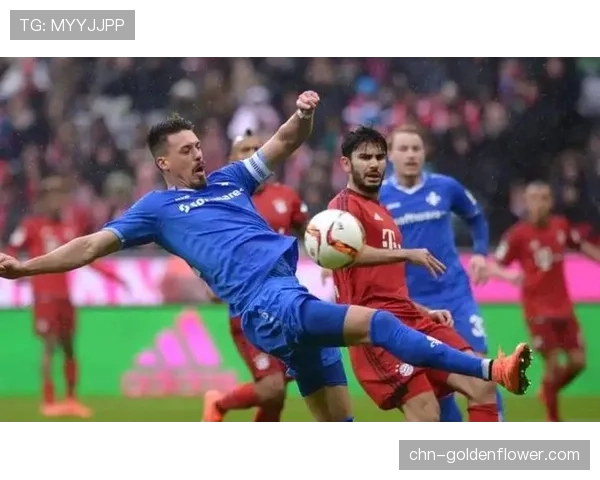 数据更新：达姆施塔特球员已累计完成本赛季德甲最多的单场压迫尝试